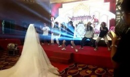 菏泽婚庆媒体爆料最新,浪漫婚礼背后的秘密大揭秘！