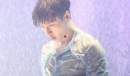 张艺兴行程爆料视频,揭秘明星幕后工作日常