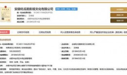 rabbit娱乐爆料,揭秘娱乐圈最新动态与幕后故事