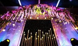 菏泽婚庆媒体爆料最新,浪漫婚礼背后的秘密大揭秘！